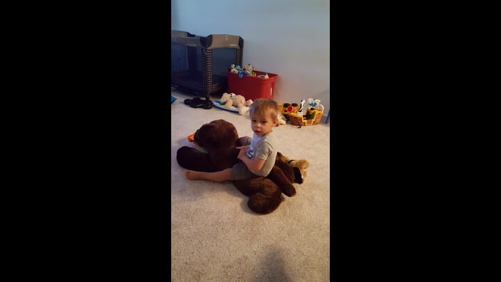 Giddy Up Doggy