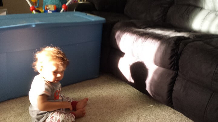 Playing Hand Shadows