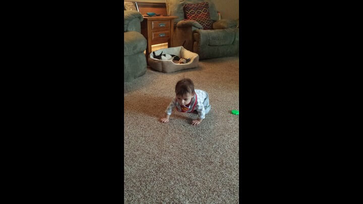 Crawling