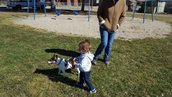 Walking A Dog