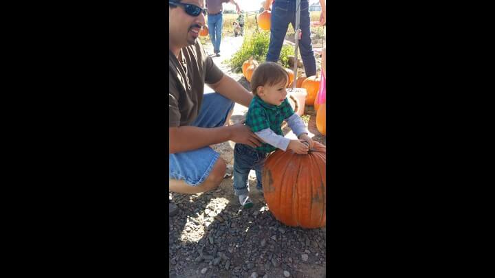 Pumpkin Patch